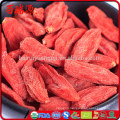 High export rate goji goji berries dried goji berry with in free samples